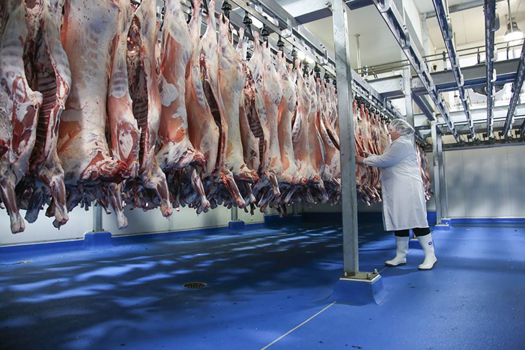 Gundagai Meat Processors Plant Expansion - CE Group